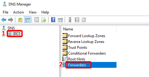 DNS Manager