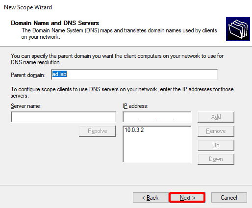 Domain Name and DNS Server